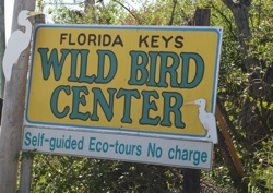 Located at mile marker 93.6 bayside, the Wild Bird Center is a rustic tribute to Florida Keys wildlife, worth an afternoon of birdwatching and picture-taking. Photos by Julie Botteri
